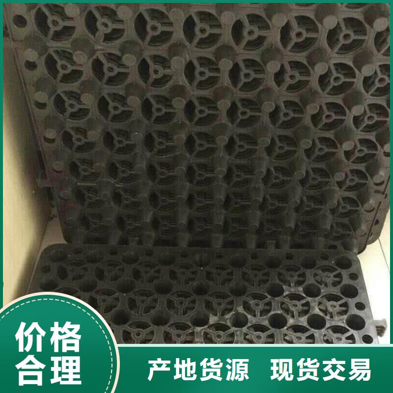 塑料排水板多向塑料土工格栅诚信商家