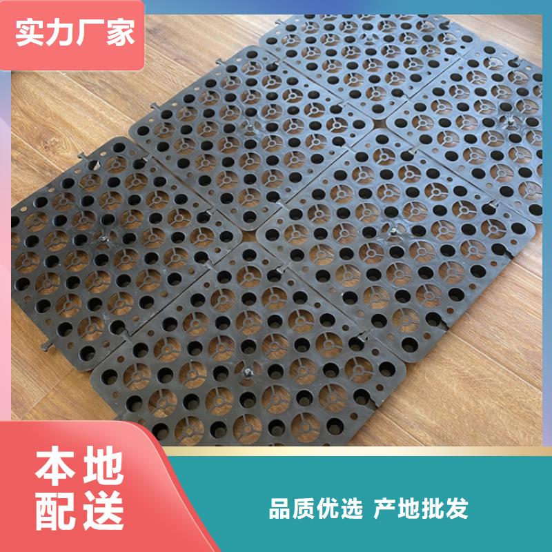 塑料排水板多向塑料土工格栅诚信商家