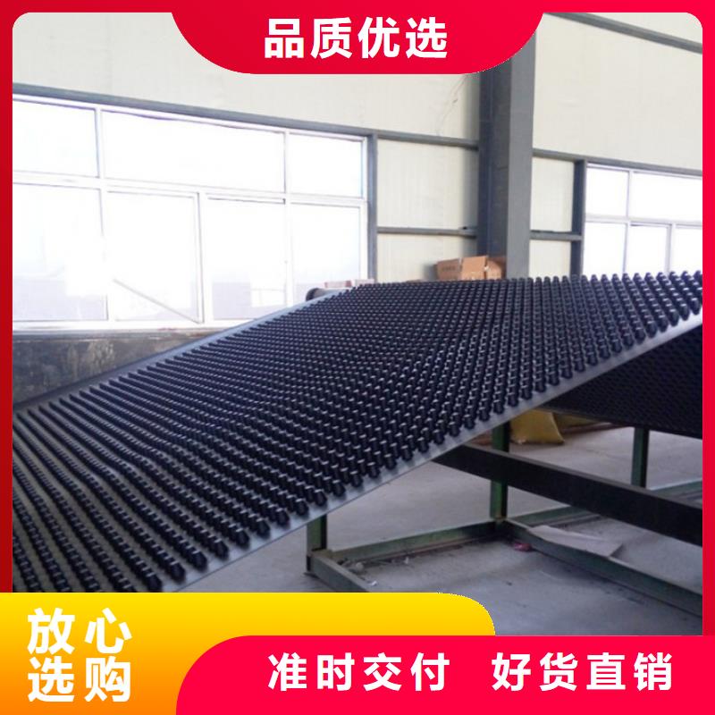 三维土工网垫视频-阳江市三维土工网垫-【同城】可服务区域阳西|阳东|河源|韶关|江门|东莞|深圳
