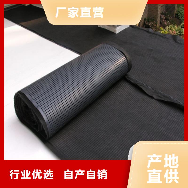 塑料排水板土工席垫用品质赢得客户信赖