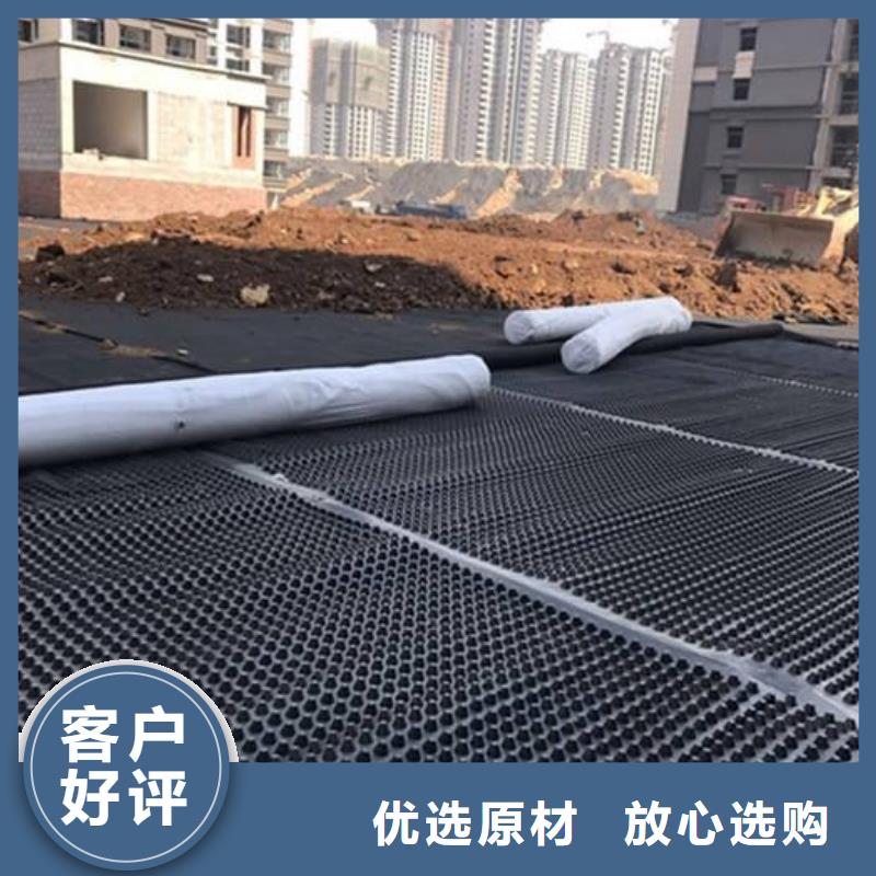 塑料排水板凸结点钢塑土工格栅一手货源源头厂家