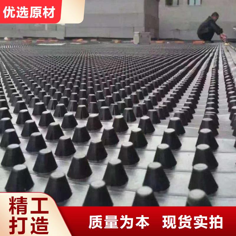 三维土工网垫视频-阳江市三维土工网垫-【同城】可服务区域阳西|阳东|河源|韶关|江门|东莞|深圳