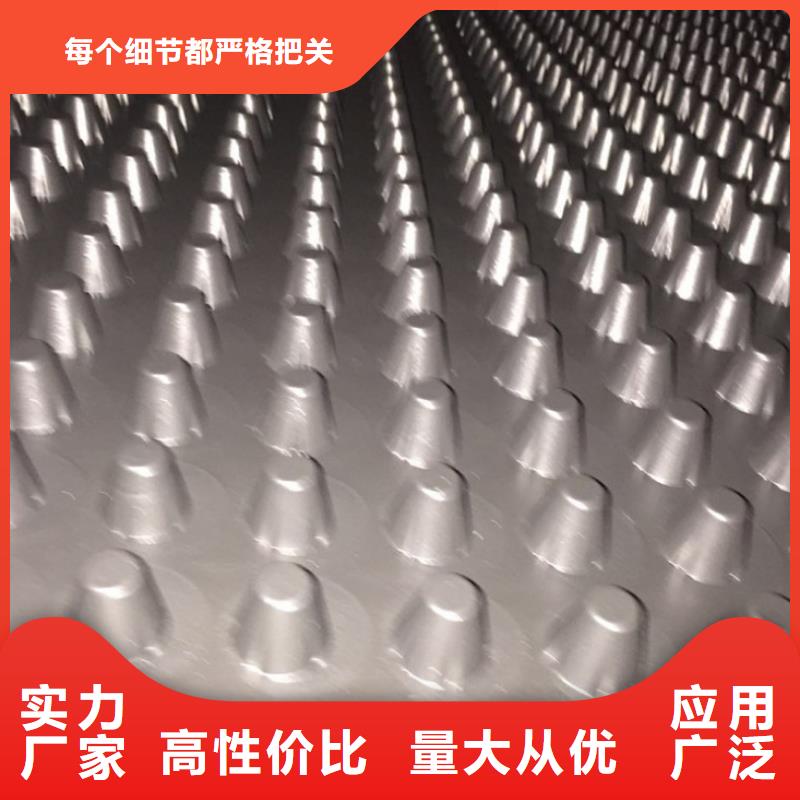 三维土工网垫视频-阳江市三维土工网垫-【同城】可服务区域阳西|阳东|河源|韶关|江门|东莞|深圳