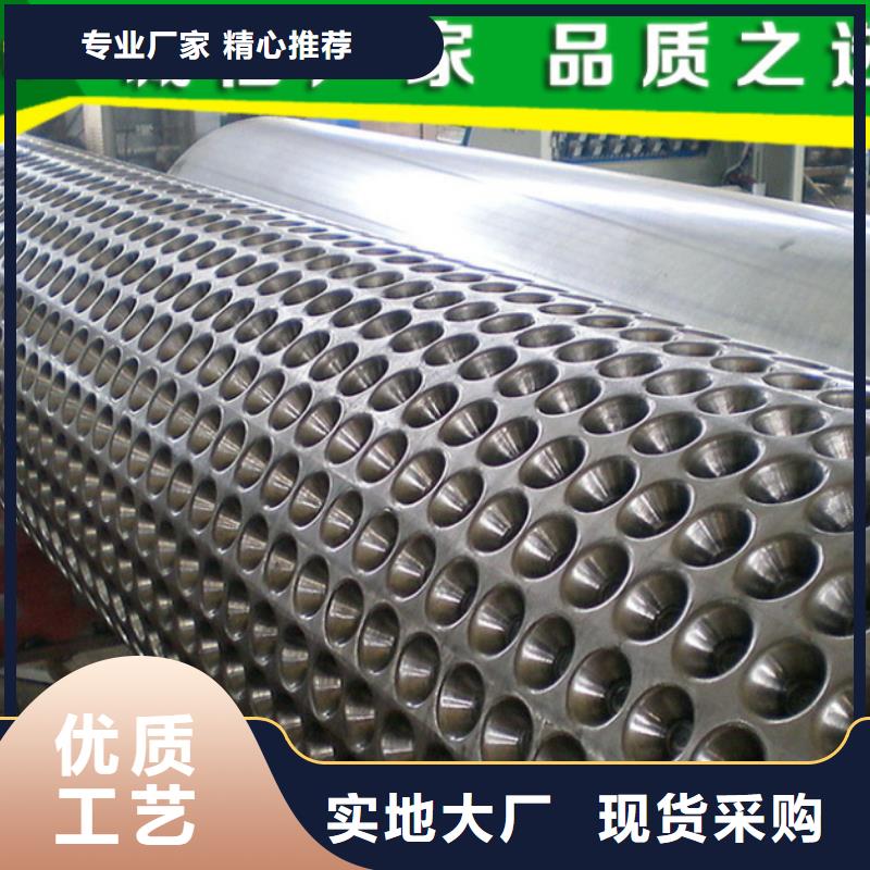 塑料排水板塑料盲沟厂家现货供应