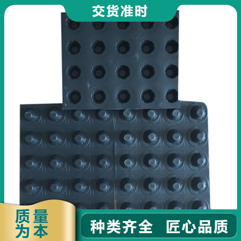 塑料排水板多向塑料土工格栅诚信商家