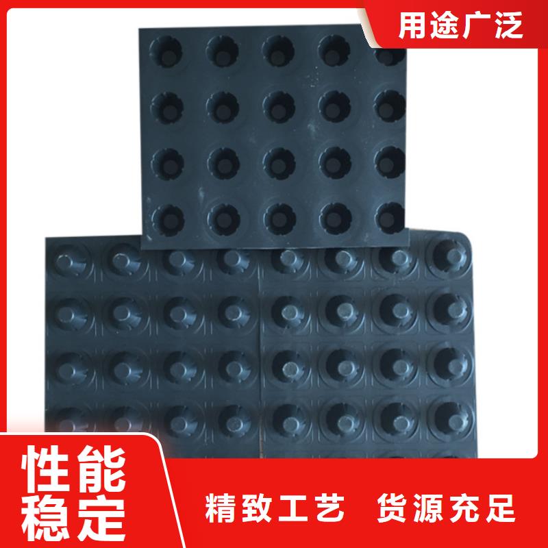 塑料排水板凸结点钢塑土工格栅一手货源源头厂家