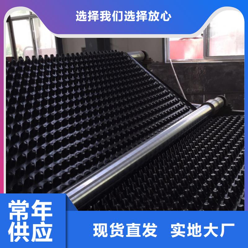 塑料排水板凸结点钢塑土工格栅一手货源源头厂家