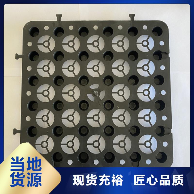 塑料排水板凸结点钢塑土工格栅一手货源源头厂家
