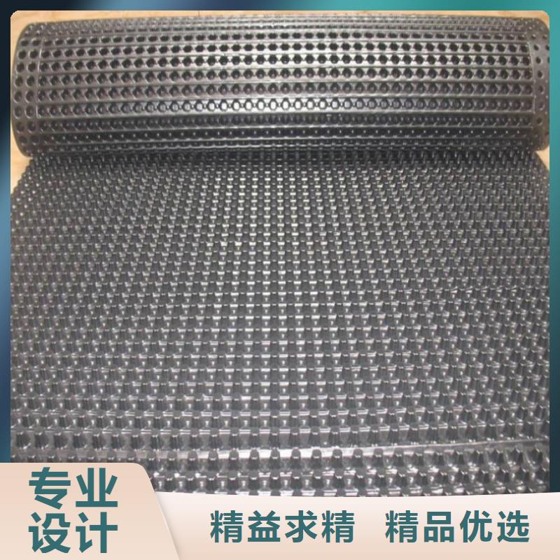塑料排水板多向塑料土工格栅诚信商家