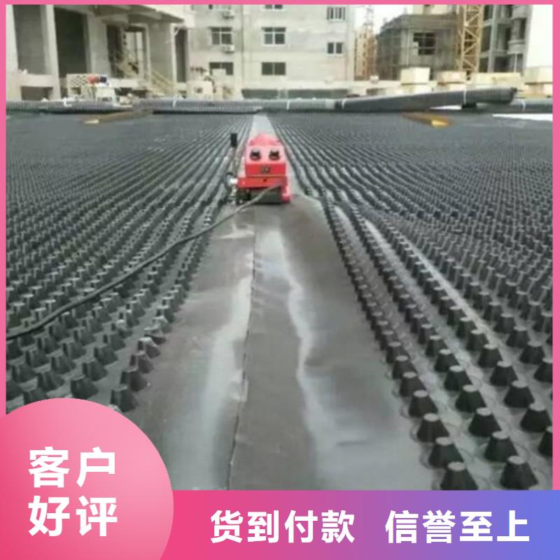 塑料排水板多向塑料土工格栅诚信商家