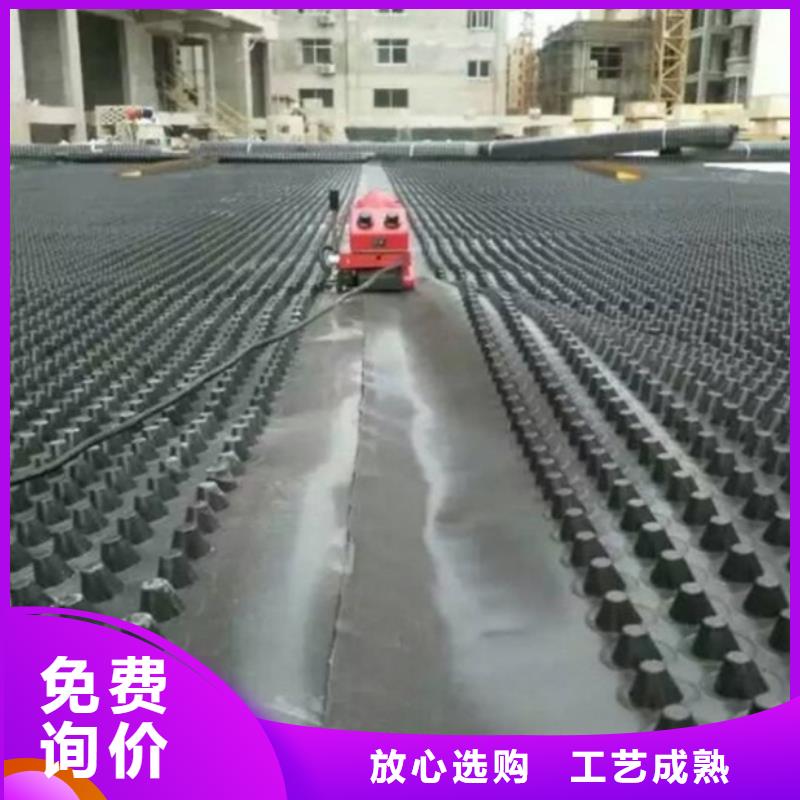 塑料排水板塑料盲沟厂家现货供应