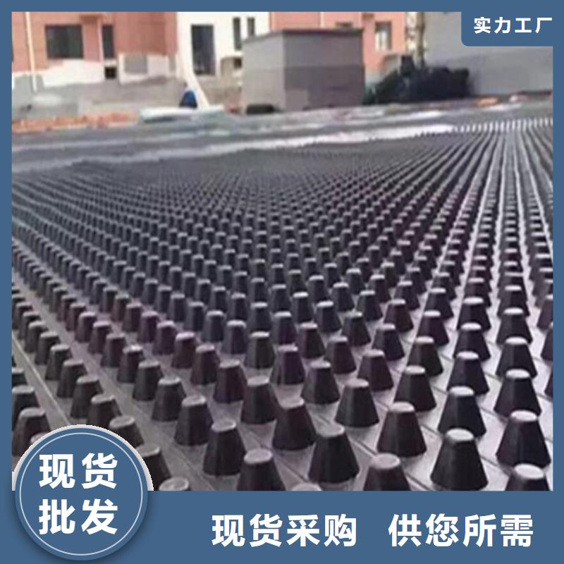 塑料排水板凸结点钢塑土工格栅一手货源源头厂家