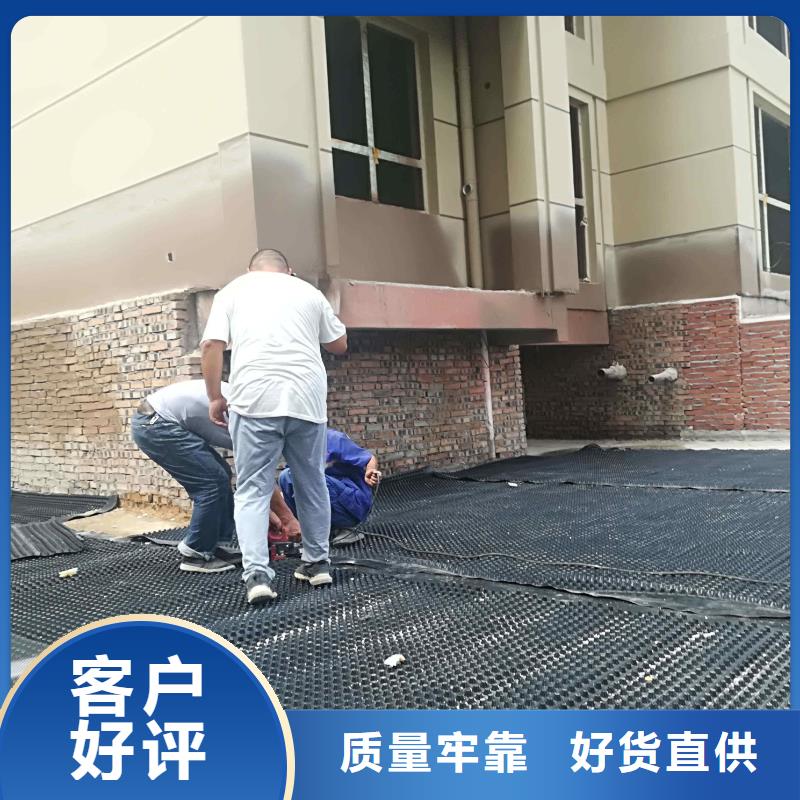 塑料排水板多向塑料土工格栅诚信商家