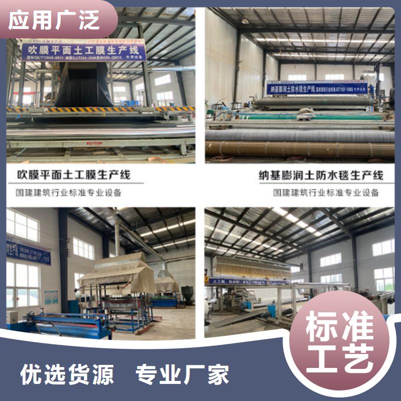 防水毯玻璃纤维土工格栅出货快