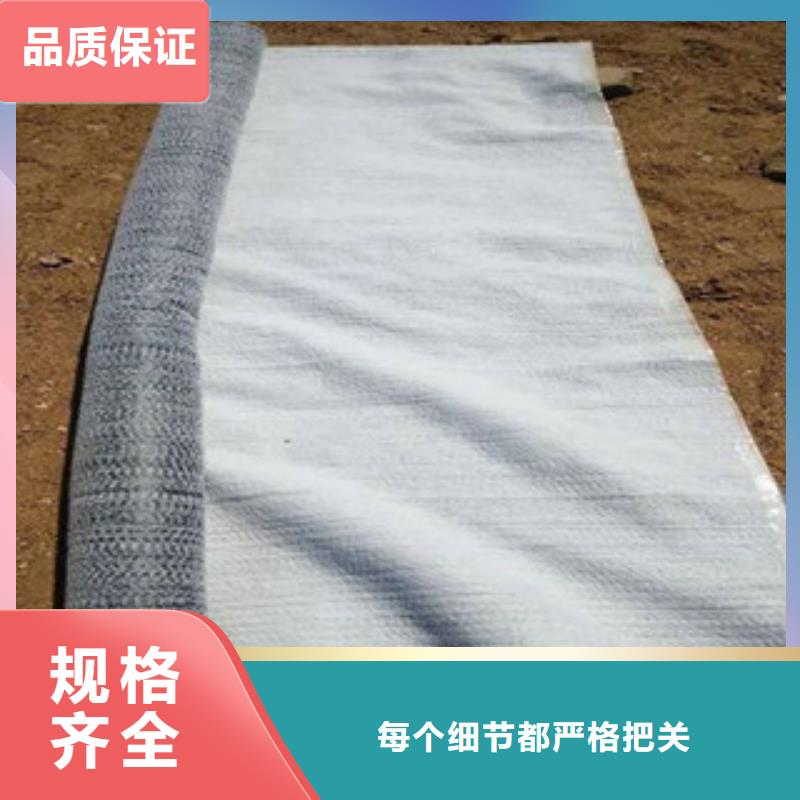 防水毯玻璃纤维土工格栅放心得选择