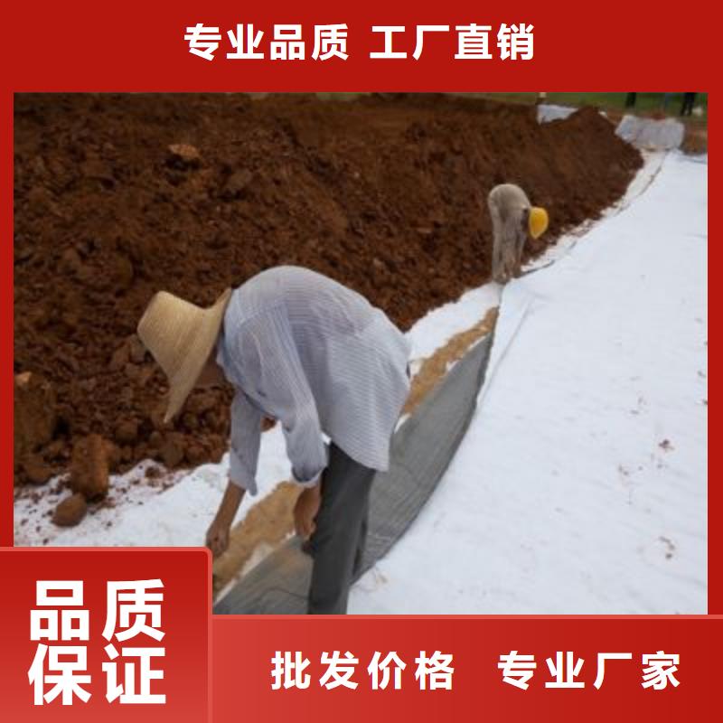 三维土工网垫视频-三维土工网垫|广东省茂名市|高州|茂南|揭阳|东莞|佛山|惠州