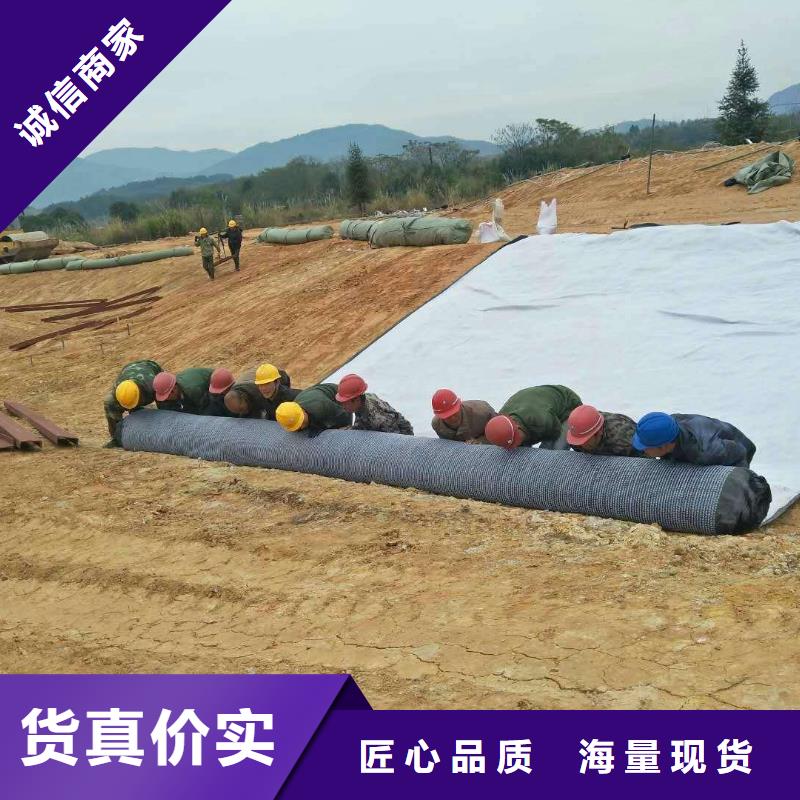 防水毯玻璃纤维土工格栅出货快