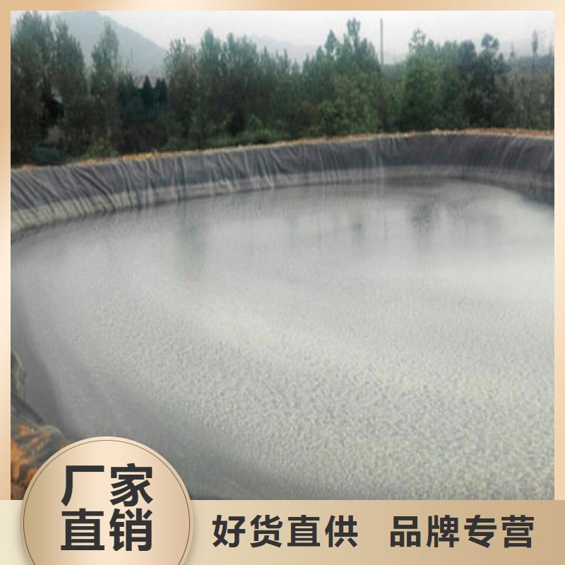 土工膜玻纤土工格栅支持定制加工