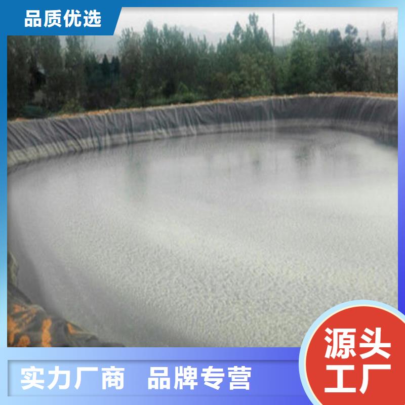 土工膜单向塑料土工格栅厂家货源稳定