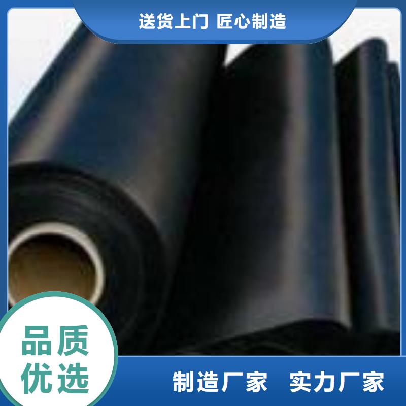 土工膜玻纤土工格栅支持定制加工