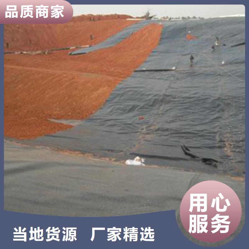 土工膜-聚丙烯双拉土工格栅老品牌厂家