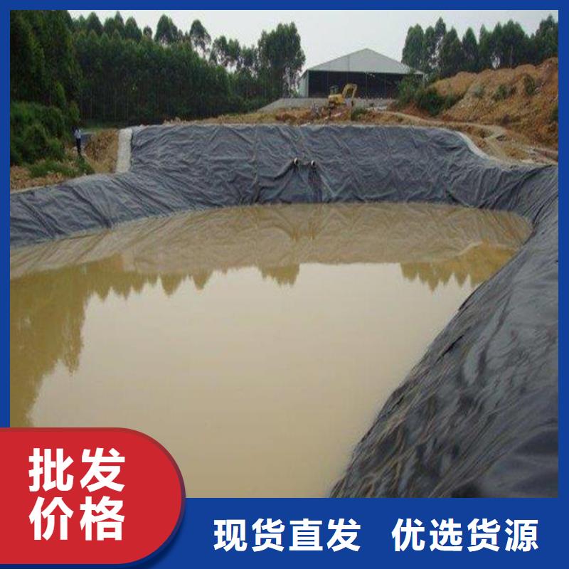 土工膜单向塑料土工格栅厂家货源稳定
