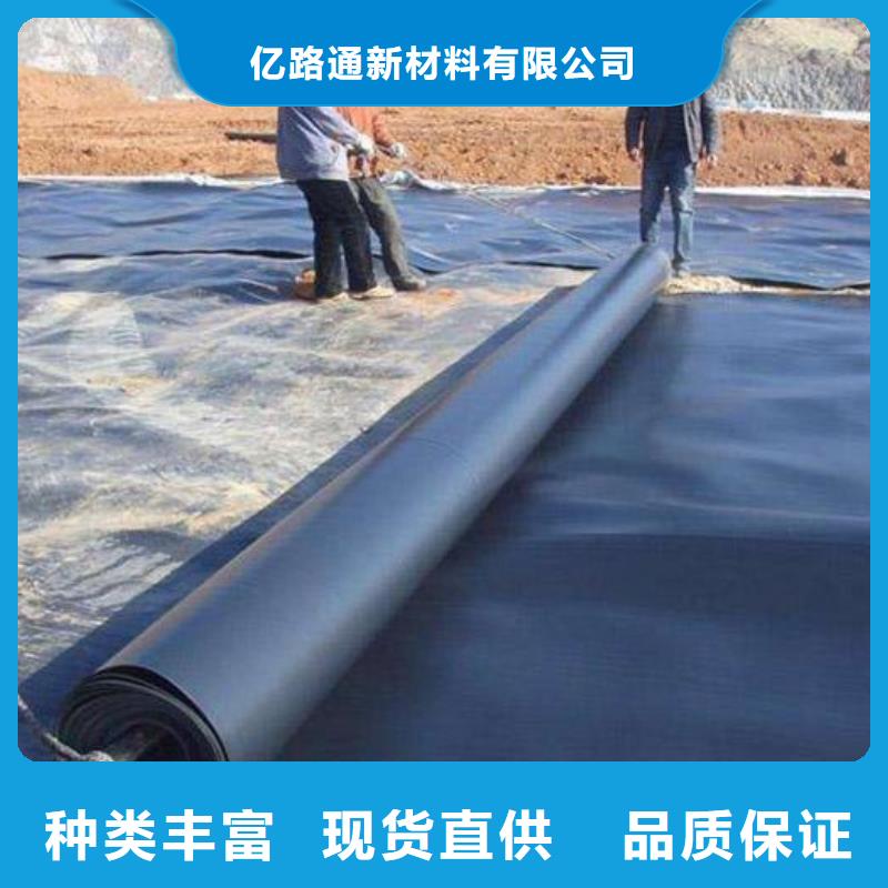 土工膜玻纤土工格栅支持定制加工