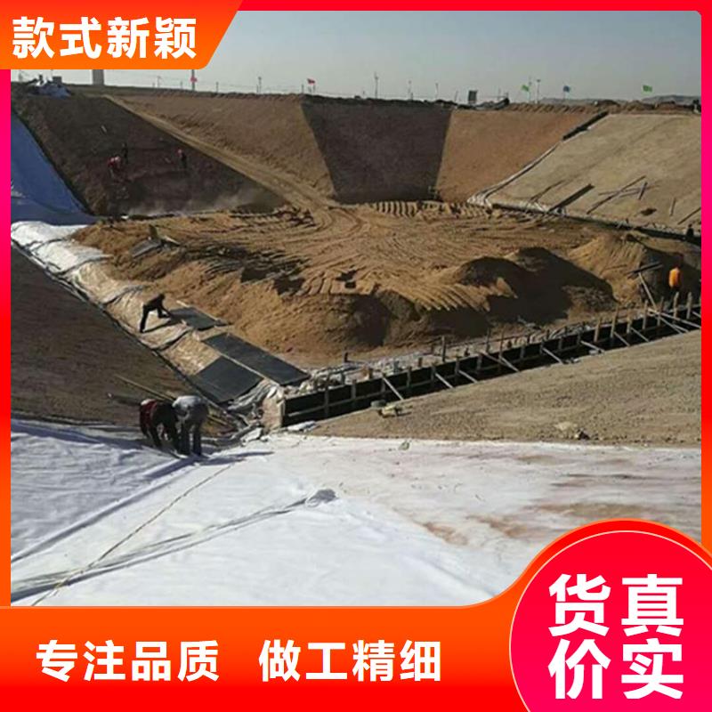 土工膜-聚丙烯双拉土工格栅老品牌厂家