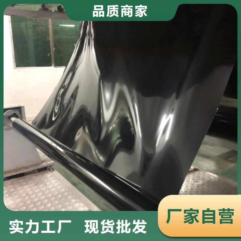土工膜玻纤土工格栅支持定制加工