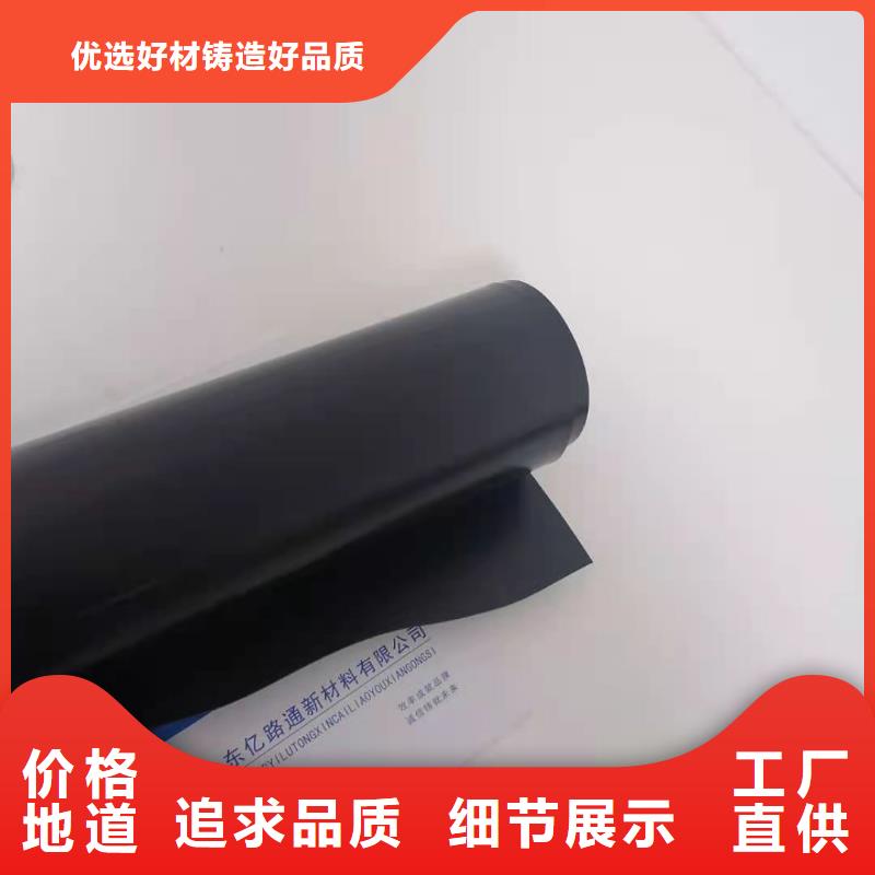 土工膜玻纤土工格栅支持定制加工
