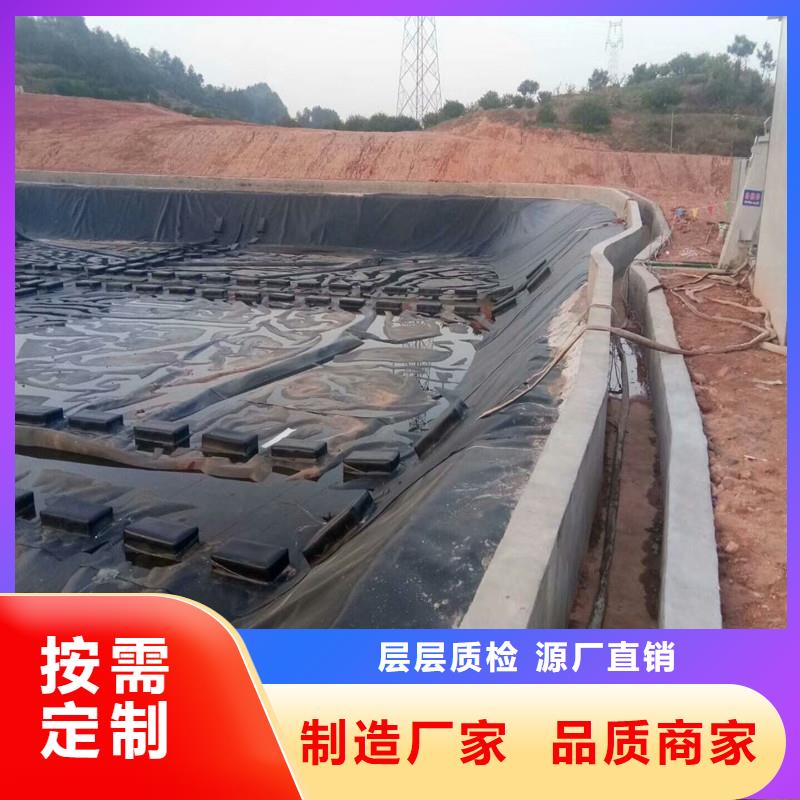 土工膜,三维植被网厂家质量优选