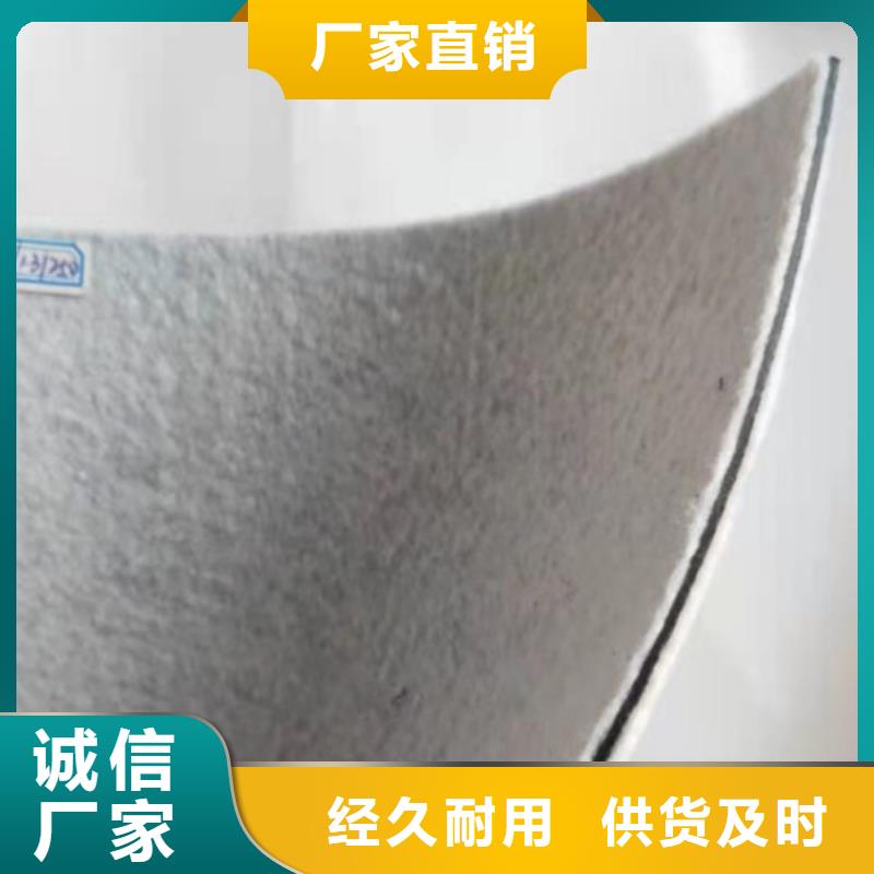 土工膜玻纤土工格栅支持定制加工