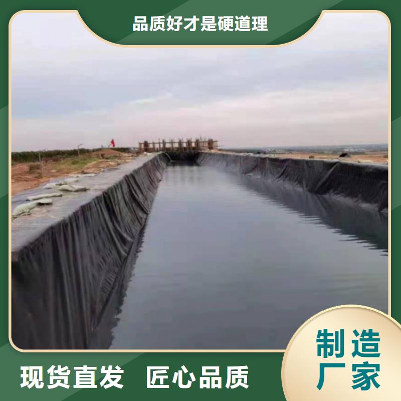 土工膜玻纤土工格栅支持定制加工