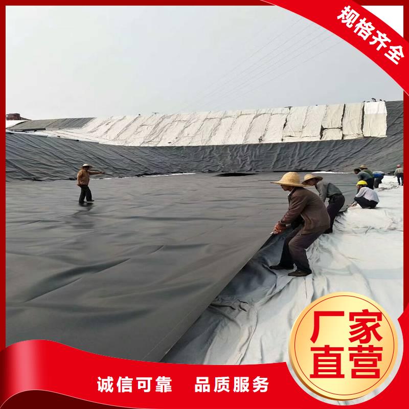 土工膜-聚丙烯双拉土工格栅老品牌厂家