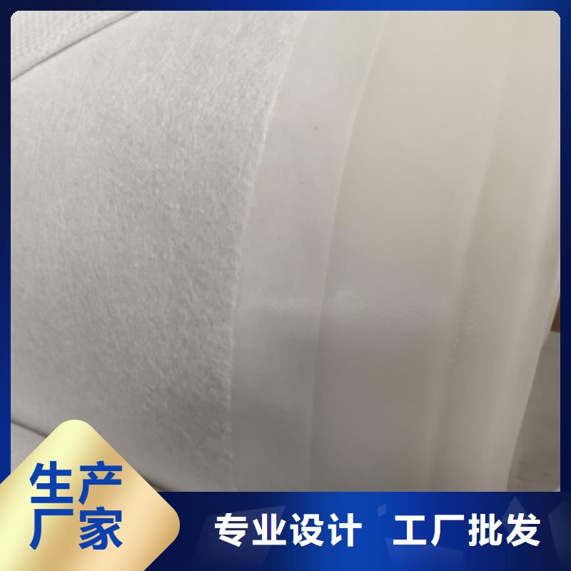 土工膜玻纤土工格栅支持定制加工