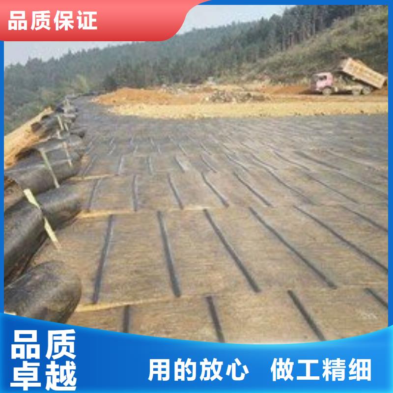 三维土工网垫视频-三维土工网垫-甘肃省临夏市(当地)生产商-永靖|康乐|张掖|陇南|金昌|平凉|武威
