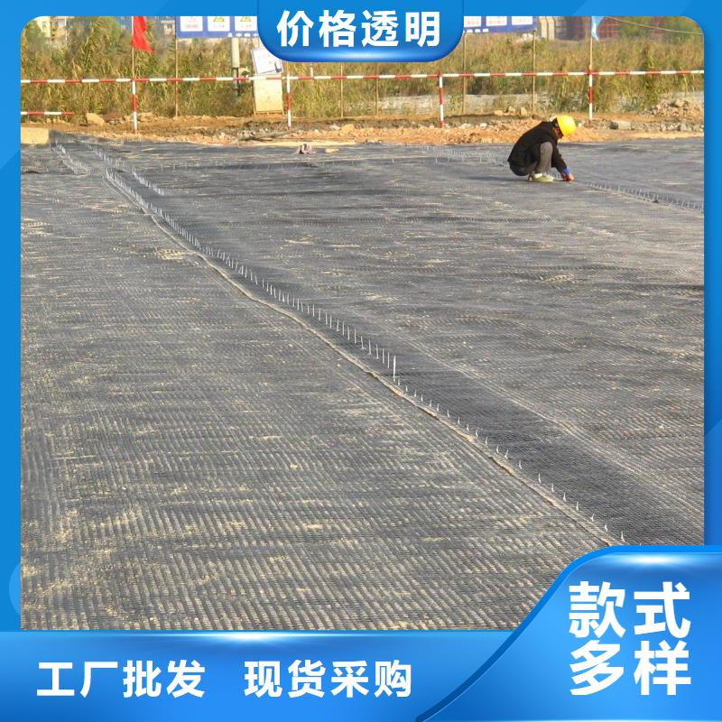 三维土工网垫视频-三维土工网垫-甘肃省临夏市(当地)生产商-永靖|康乐|张掖|陇南|金昌|平凉|武威