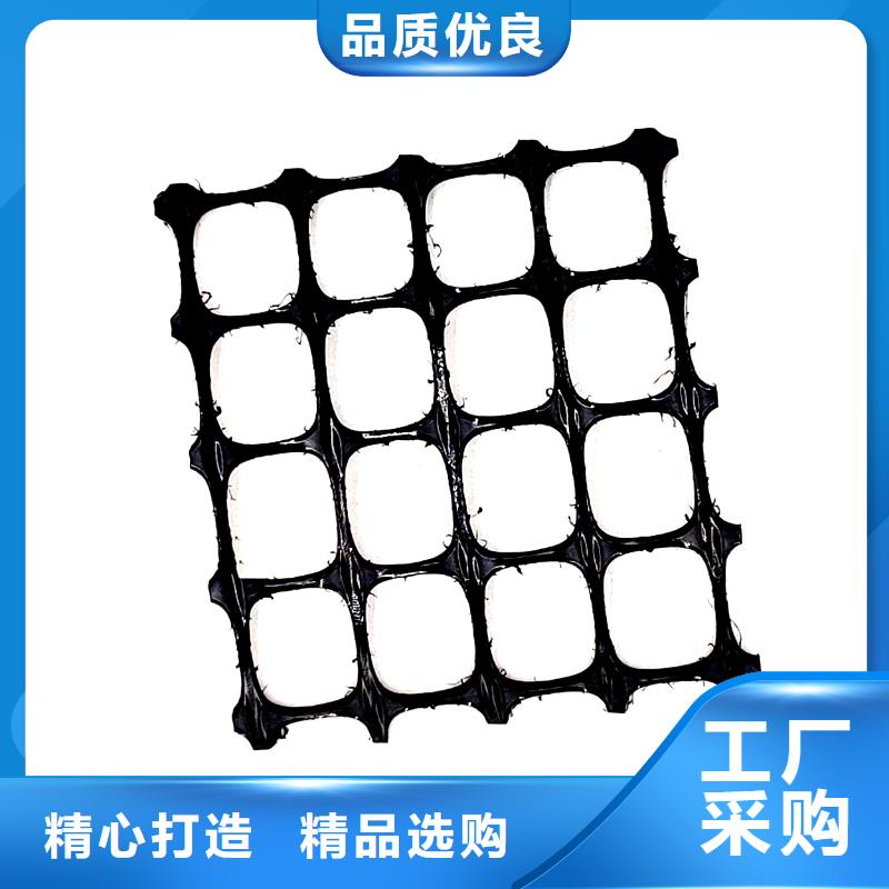 土工格栅【三维土工网垫】厂家直营
