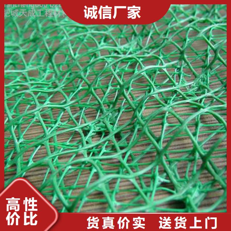 三维植被网复合土工膜厂家直销规格多样