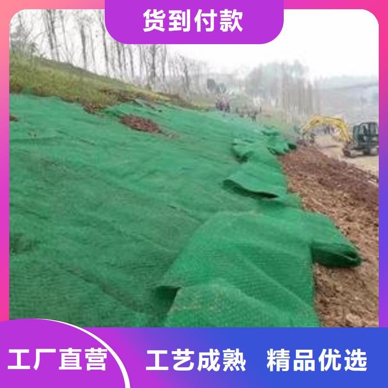 三维土工网垫视频-郎溪|绩溪|蚌埠|铜陵|黄山|淮南|合肥|阜阳|六安亿路通三维土工网垫_ 亿路通新材料(宣城市分公司)