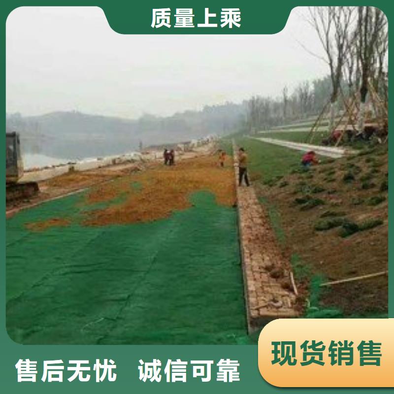 三维植被网膨润土防水毯细节决定品质