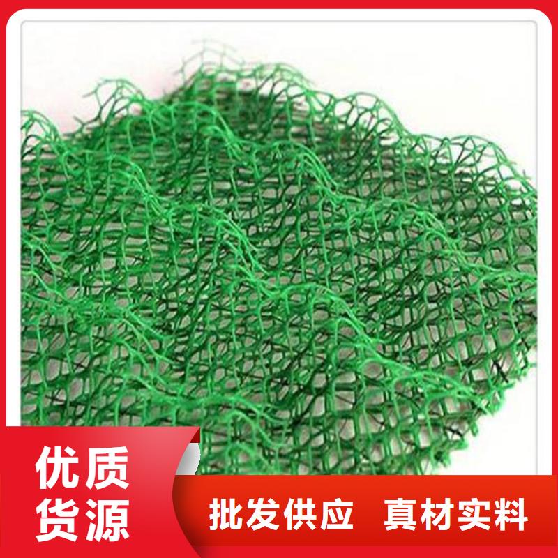 三维土工网垫视频-三维土工网垫_山东省济宁市市场覆盖邹城|汶上|淄博|枣庄|德州|泰安|日照|潍坊|东营等