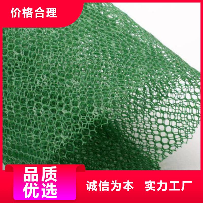三维植被网膨润土防水毯细节决定品质