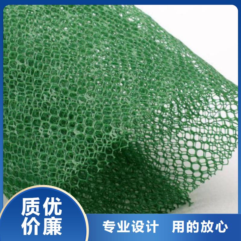 三维土工网垫视频-三维土工网垫_安徽省池州市市场覆盖贵池|石台|宣城|亳州|阜阳|宿州|黄山|巢湖|芜湖等