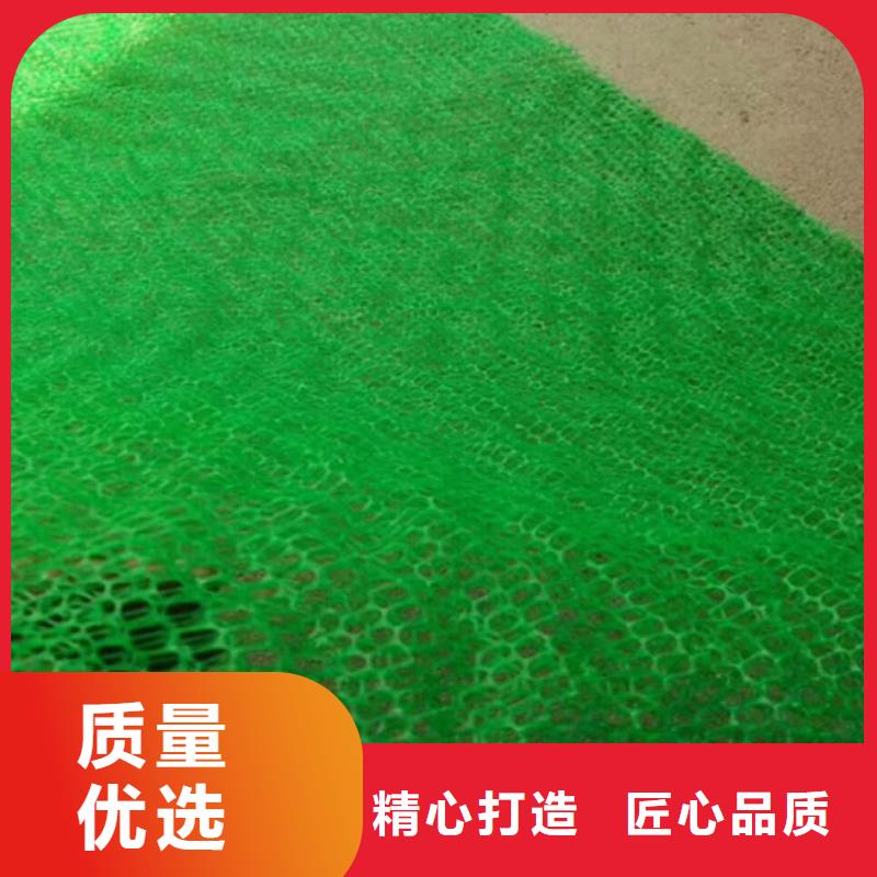 三维土工网垫视频-三维土工网垫_山东省济宁市市场覆盖邹城|汶上|淄博|枣庄|德州|泰安|日照|潍坊|东营等