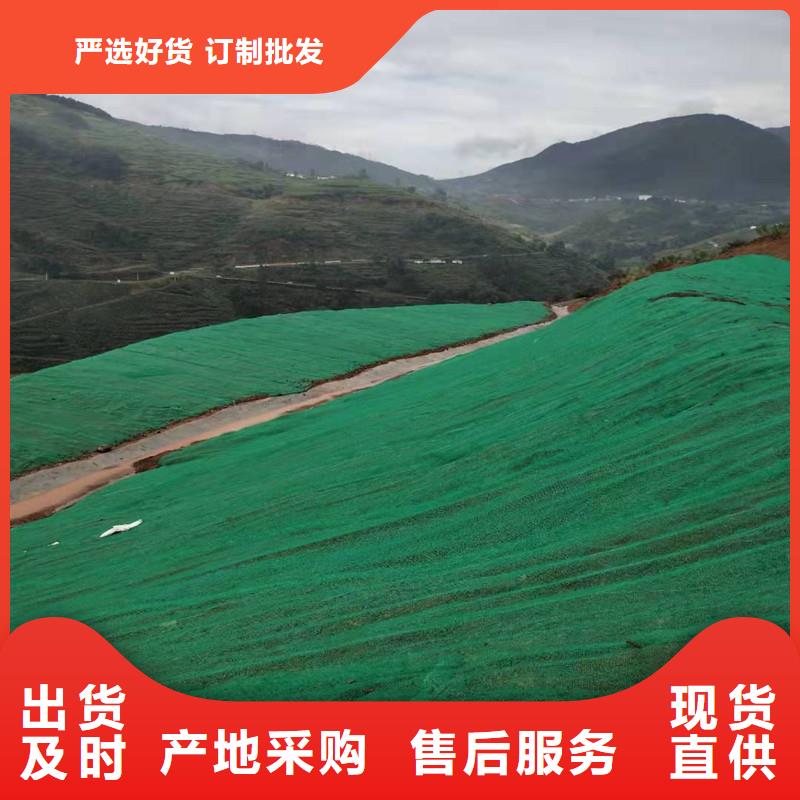 三维土工网垫视频-三维土工网垫_山东省济宁市市场覆盖邹城|汶上|淄博|枣庄|德州|泰安|日照|潍坊|东营等