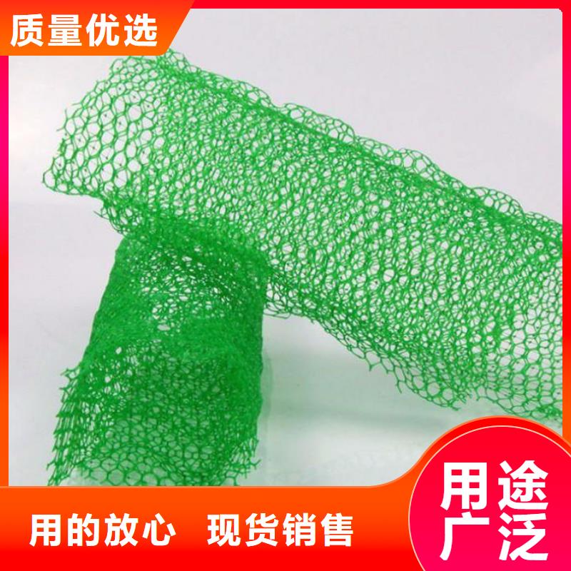 三维土工网垫视频-三维土工网垫_山东省济宁市市场覆盖邹城|汶上|淄博|枣庄|德州|泰安|日照|潍坊|东营等