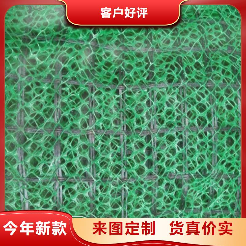 三维土工网垫视频-三维土工网垫_山东省济宁市市场覆盖邹城|汶上|淄博|枣庄|德州|泰安|日照|潍坊|东营等