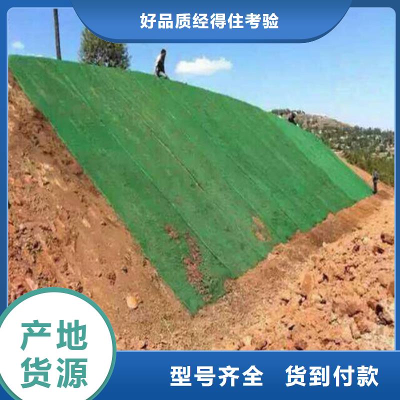 三维植被网【钢塑土工格栅厂家】现货充足量大优惠