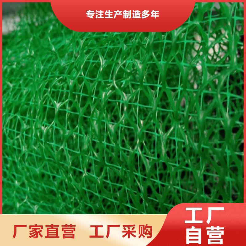 三维土工网垫视频-三维土工网垫_山东省济宁市市场覆盖邹城|汶上|淄博|枣庄|德州|泰安|日照|潍坊|东营等